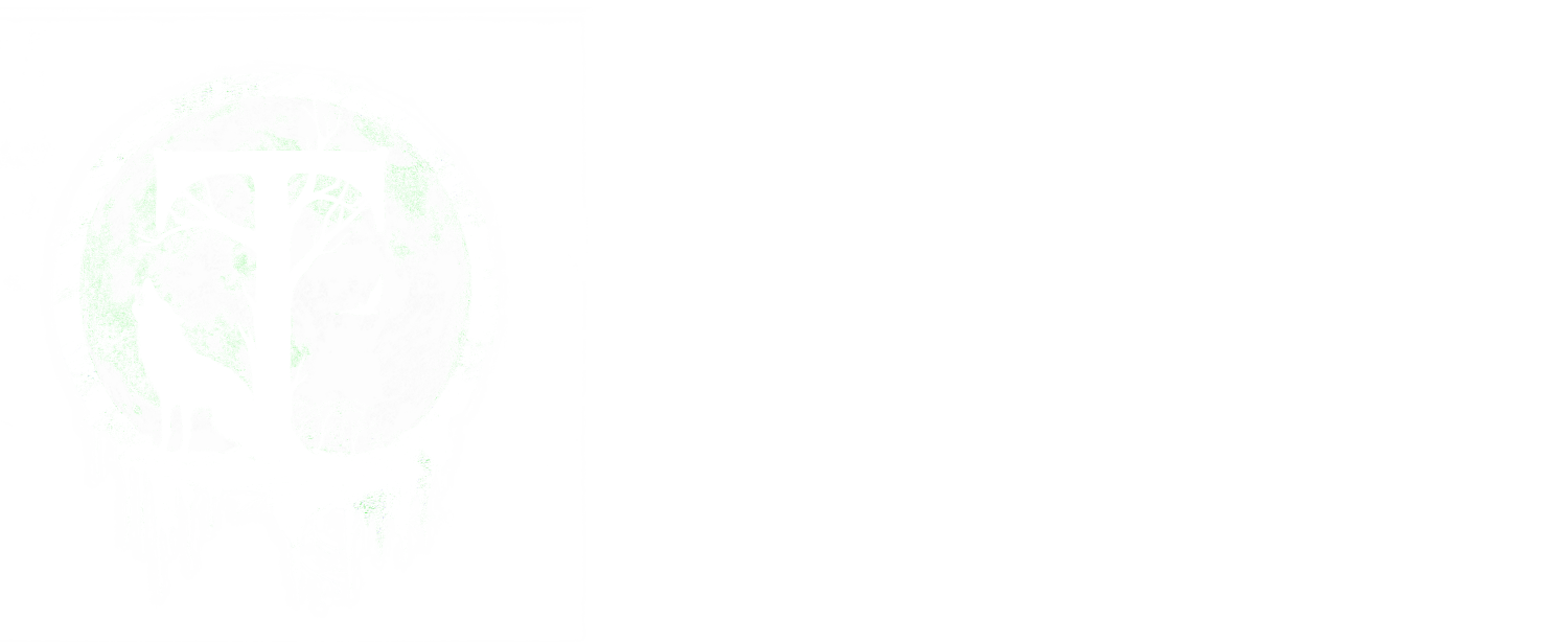 Trippintronic Experience logo